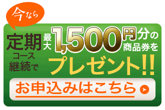 今すぐお申込みへ