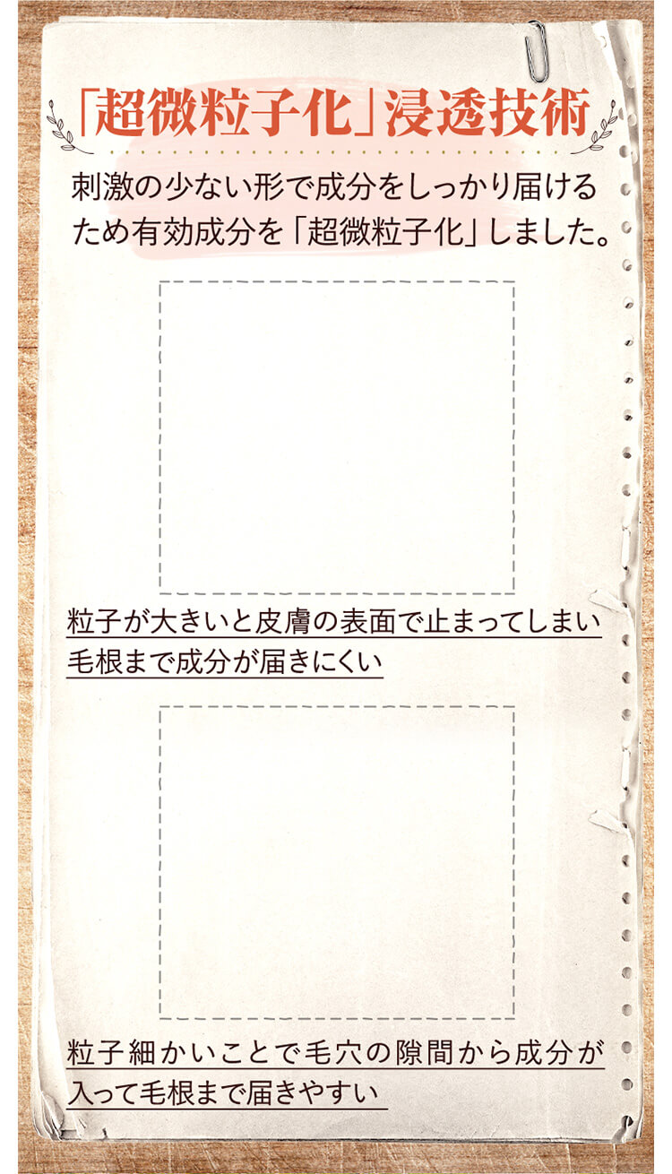 超微粒子化